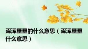浑浑噩噩的什么意思（浑浑噩噩什么意思）