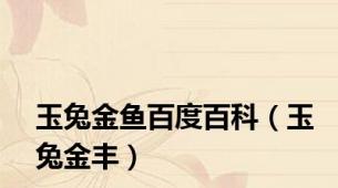 玉兔金鱼百度百科（玉兔金丰）