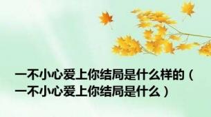 一不小心爱上你结局是什么样的（一不小心爱上你结局是什么）