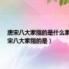 唐宋八大家指的是什么家?（唐宋八大家指的是）