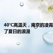 40℃高温天,南京的凌霄花承包了夏日的浪漫