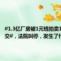 #1.3亿厂房被1元钱拍卖1.8万成交#,法院叫停,发生了什