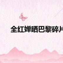 全红婵晒巴黎碎片