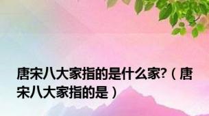 唐宋八大家指的是什么家?（唐宋八大家指的是）