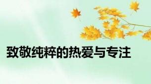 致敬纯粹的热爱与专注