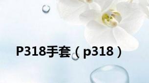 P318手套（p318）