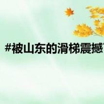 #被山东的滑梯震撼了#