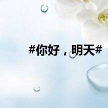 #你好，明天#