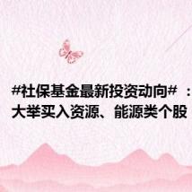 #社保基金最新投资动向# :二季度大举买入资源、能源类个股