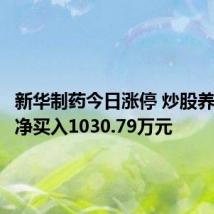 新华制药今日涨停 炒股养家席位净买入1030.79万元
