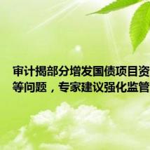 审计揭部分增发国债项目资金闲置等问题,专家建议强化监管