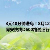3元40分钟进岛！8月12日起，同安快线D600路试运行