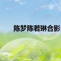 陈梦陈若琳合影