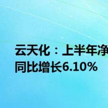 云天化:上半年净利润同比增长6.10%