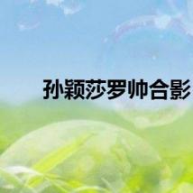 孙颖莎罗帅合影