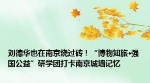 刘德华也在南京烧过砖！“博物知旅·强国公益”研学团打卡南京城墙记忆