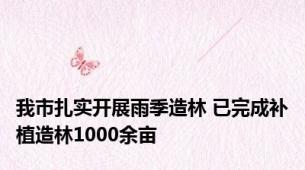 我市扎实开展雨季造林 已完成补植造林1000余亩