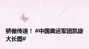 骄傲传递！ #中国奥运军团凯旋大长图#