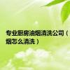 专业厨房油烟清洗公司（厨房油烟怎么清洗）