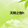 天降之物h