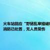 火车站回应“野猪乱窜撞破玻璃”：消防已处置，无人员受伤