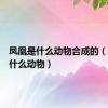 凤凰是什么动物合成的（凤凰是什么动物）