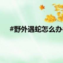 #野外遇蛇怎么办#