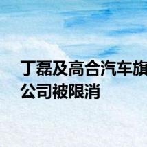 丁磊及高合汽车旗下两公司被限消