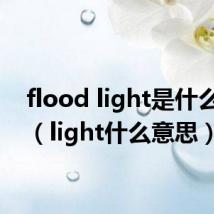 flood light是什么意思(light什么意思)