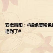 安徽青阳:#被绝美粉色朝霞惊艳到了#