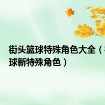 街头篮球特殊角色大全(街头篮球新特殊角色)