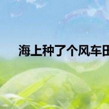 海上种了个风车田