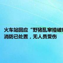 火车站回应“野猪乱窜撞破玻璃”:消防已处置,无人员受伤