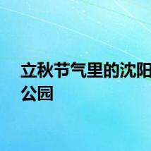 立秋节气里的沈阳八一公园