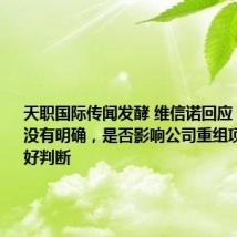 天职国际传闻发酵 维信诺回应:情况还没有明确,是否影响公司重组项目还不太好判断