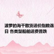 波罗的海干散货运价指数连降第三日 各类型船舶运费普跌