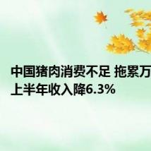 中国猪肉消费不足 拖累万洲国际上半年收入降6.3%