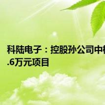 科陆电子:控股孙公司中标9182.6万元项目