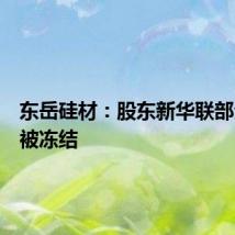 东岳硅材:股东新华联部分股份被冻结