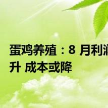 蛋鸡养殖：8 月利润或续升 成本或降