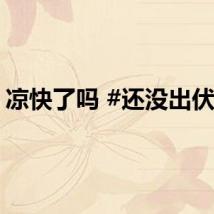 凉快了吗 #还没出伏呢#