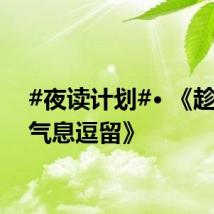 #夜读计划#· 《趁生命气息逗留》