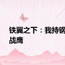 铁翼之下：我持钢枪护战鹰