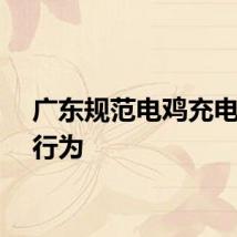 广东规范电鸡充电收费行为