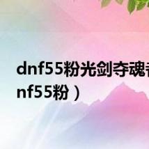 dnf55粉光剑夺魂者（dnf55粉）