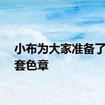 小布为大家准备了限定套色章