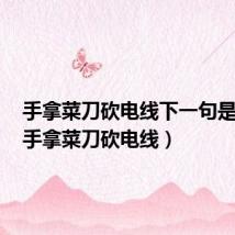 手拿菜刀砍电线下一句是什么（手拿菜刀砍电线）