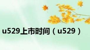 u529上市时间（u529）