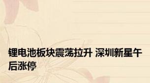锂电池板块震荡拉升 深圳新星午后涨停