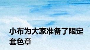 小布为大家准备了限定套色章